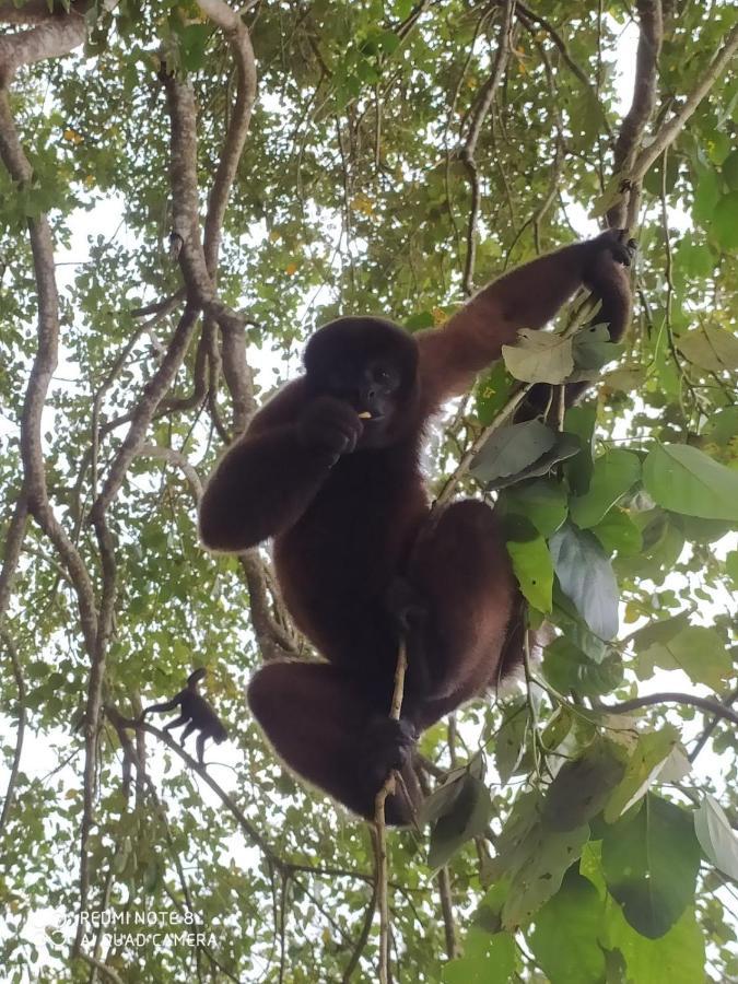 Jacamar Lodge Expeditions อีกีโตส ภายนอก รูปภาพ