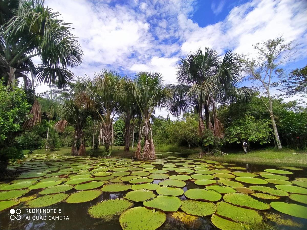 Jacamar Lodge Expeditions อีกีโตส ภายนอก รูปภาพ