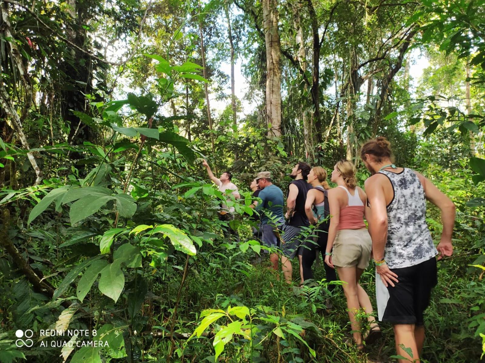 Jacamar Lodge Expeditions อีกีโตส ภายนอก รูปภาพ